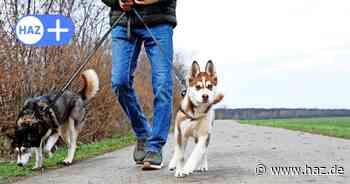 Kronsberg: Leinenpflicht für Hunde soll stärker kontrolliert werden