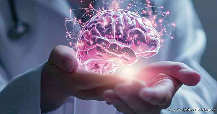 “Il cervello umano si è rimpicciolito, è più piccolo di quello dell’Homo Sapiens. Ecco perché”: il nuovo studio