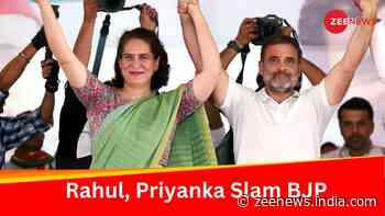 From Himachal, Punjab, Rahul Gandhi, Priyanka Set Stage For Final Phase Of Lok Sabha Polls