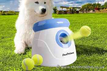 Amazon shoppers go wild for 'fantastic value' dog ball launcher which is 'great fun'