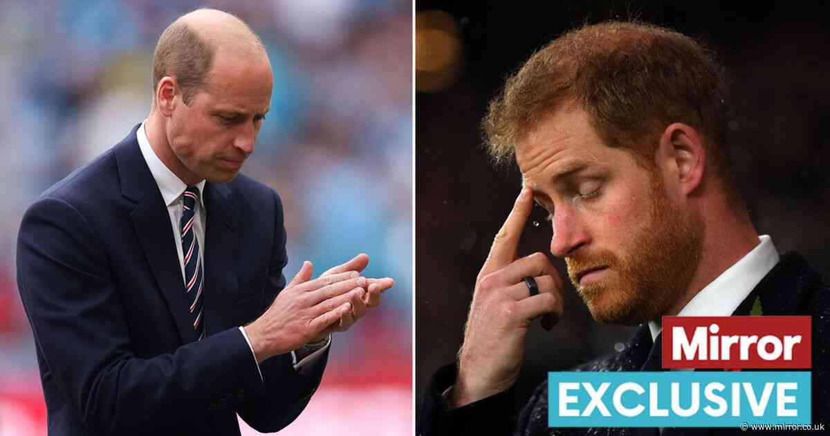 Prince William 'feels Spare himself as Harry uses outcast status to become more prominent'