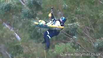 Dramatic helicopter rescue of injured bushwalker who spent a night alone on a mountainside