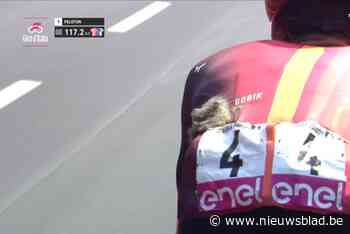 VIDEO. Slotrit zadelt wielerfans op met hét mysterie van de Giro: wat deed Filippo Ganna met een rat in zijn achterzak?