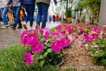 Frühlingsfest: Jetzt werden die Blumen verschenkt