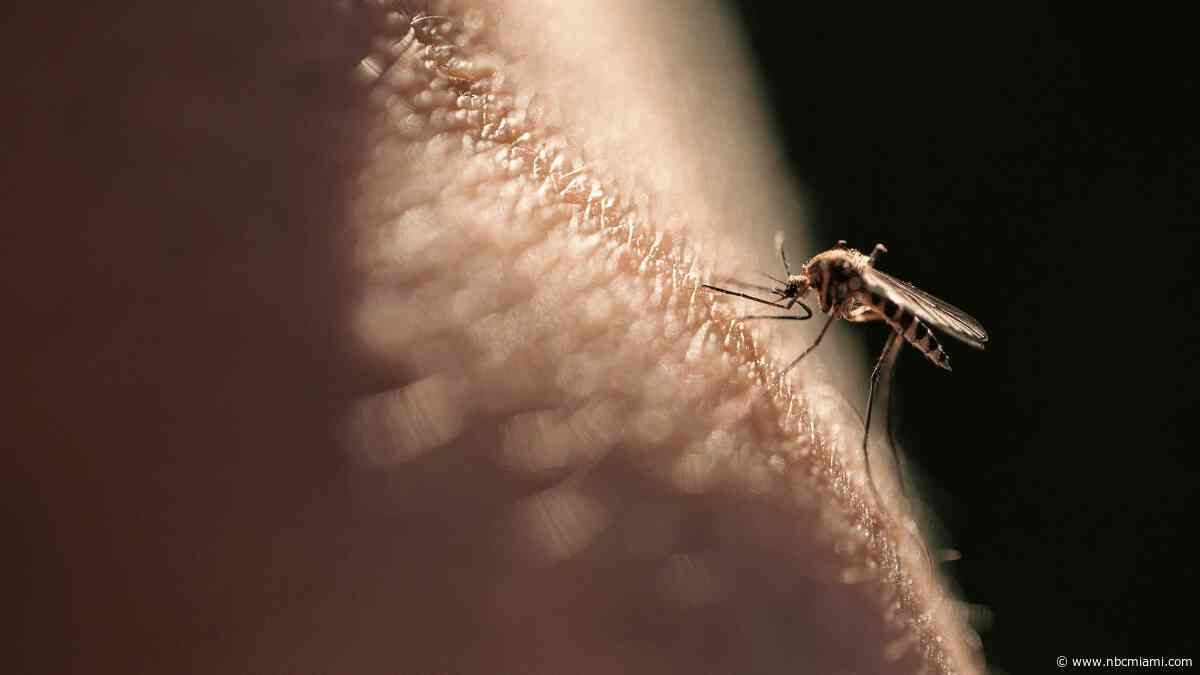 What to look for in mosquito repellents