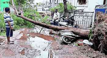 9 die in 24 hours in Telangana rains; May toll hits 32