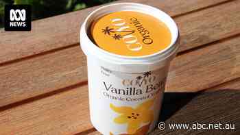 Lawsuit claims yoghurt company was told its product wasn't suitable for a 'dairy-free' claim before anaphylaxis death of woman