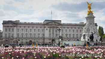 Man, 52, broke into Buckingham Palace before claiming he didn't know where he was and only wanted a wee