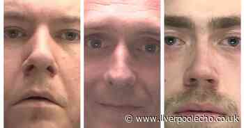 Faces of 14 criminals who were locked up this week