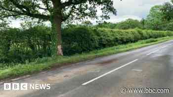 Two teens die and two seriously injured in crash