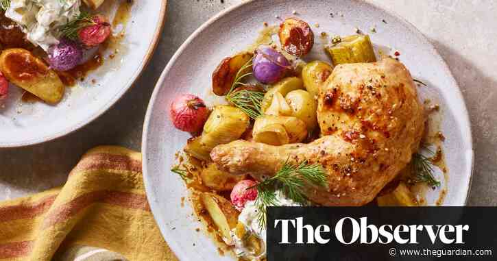 Georgia Levy’s recipe for pickle and dill chicken with sour cream