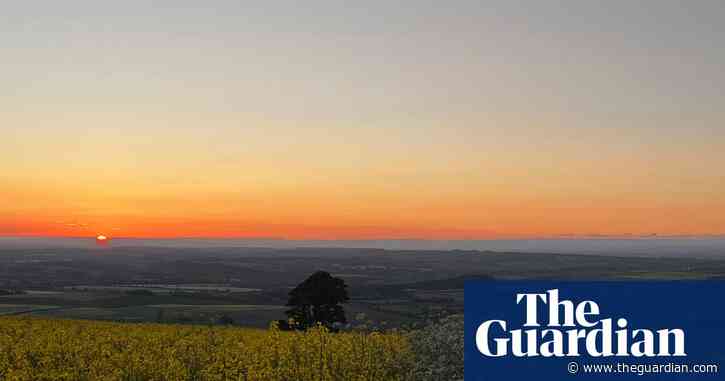 Country diary: An evening walk is handsomely rewarded | Amy-Jane Beer