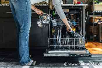 Dishwasher expert shares common mistake people make that is 'just a waste'