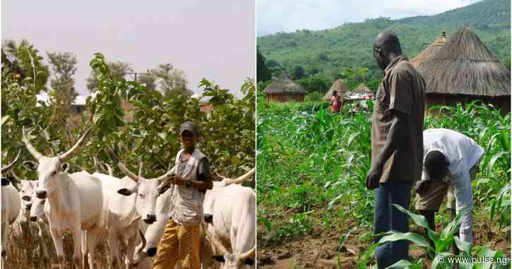 5 injured in clash between farmers and cattle herders in Jigawa