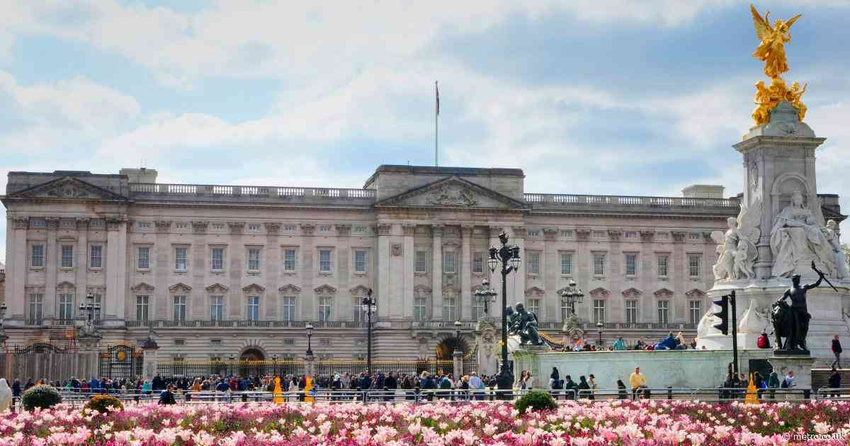 Man who broke into Buckingham Palace claimed he just wanted somewhere to wee