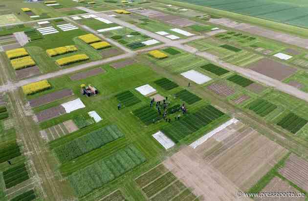 DLG-Feldtage: Landwirtschaftliche Fachmesse lockt ins Freiland