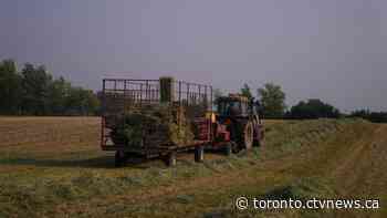 Ontario privacy commissioner probing deleted Greenbelt emails