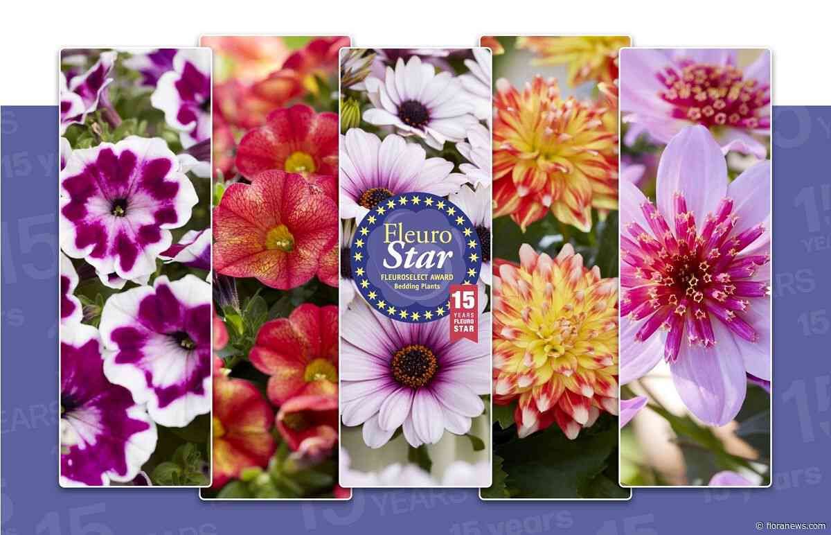 Wie wint dit jaar de FleuroStar Award tijdens de FlowerTrials?