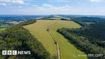 South Downs investment scheme to 'boost biodiversity'