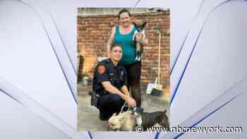 Police officer rescues three dogs from Long Island house fire