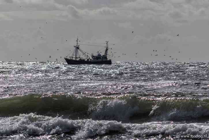 Noordzee te vol voor visserij