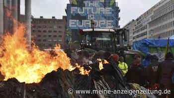 Bauernproteste vor EU-Wahl: Kandidat der Freien Wähler organisiert Demo in Brüssel