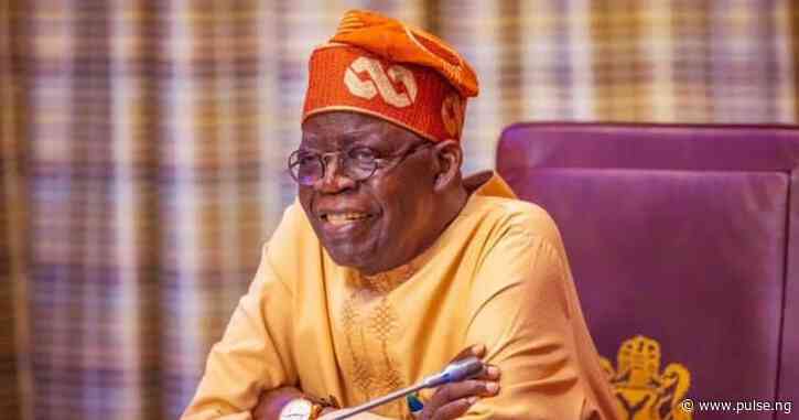 Mixed reactions as Nigerians assess Tinubu's 1-year anniversary in office