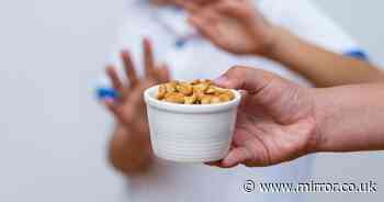 Peanut allergy secret cure? How to avoid symptoms in later life revealed