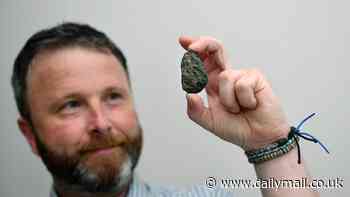 Homeowner finds still-warm 'meteorite' after suspected space rock lands metres from his back garden - and he thinks it's from Halley's Comet