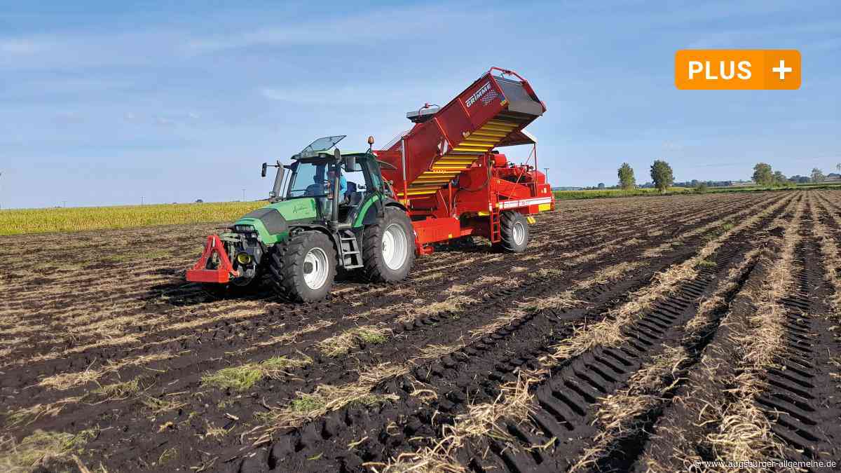 Pilotprojekt: Landwirte testen im Donaumoos Ackerbau auf nassen Flächen