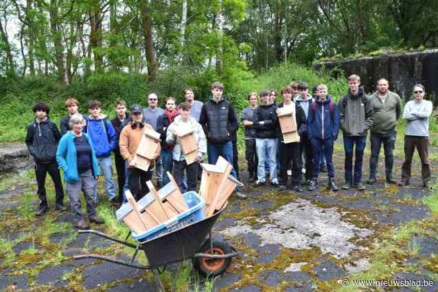 Leerlingen VTI Zandhoven maken ‘zomerbungalows’ voor vleermuizen Fort Oelegem