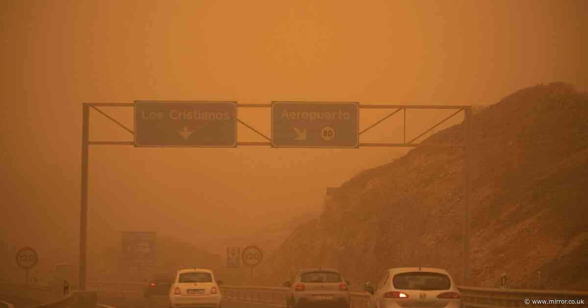 Canary Islands holiday warning: Brits alerted to terrifying 'calima' sandstorms