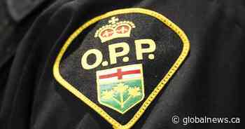 Ontario man injured from homemade explosive device: police