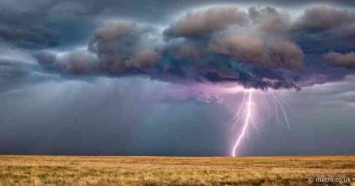 Rancher and 34 cows he was feeding struck dead by lightning