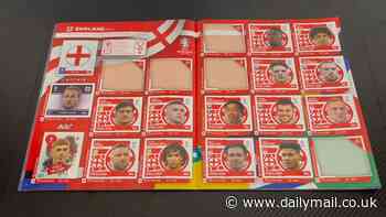 Parents outraged with 'rip-off' Euro 2024 sticker albums with dirty war between Panini and Topps meaning England players are missing - and it could cost £1k to fill in both books