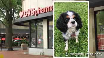 Dog owner plans to file lawsuit against CVS over prescription mix-up