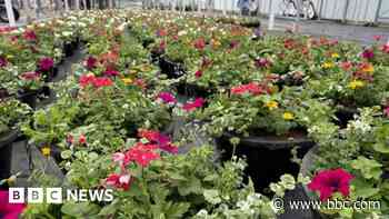 Town to re-enter Britain in Bloom