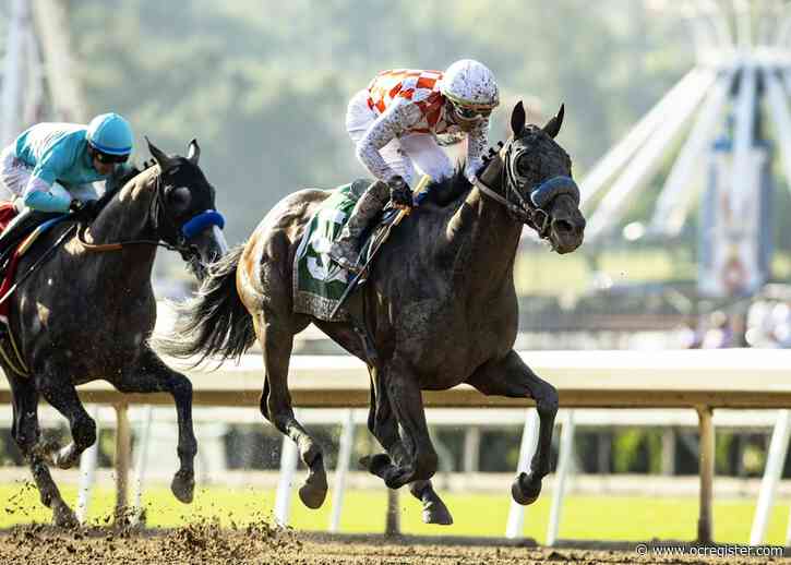 Mr Fisk wins Hollywood Gold Cup before ‘minor’ injury