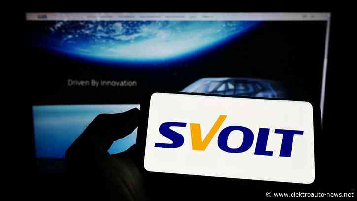 Svolt setzt auf Diversifikation in unsicheren Zeiten