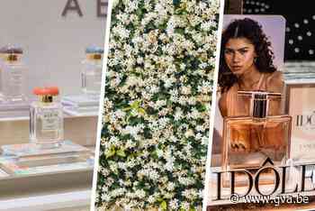 Twee bekende luxeparfums gebruiken jasmijn geplukt door kinderen