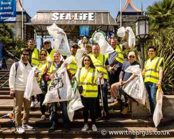 Brighton Sea Life Centre invites people to join beach clean