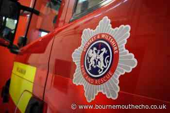 Fire breaks out at Cannon Hill Plantation in Wimborne