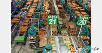 "Peruaanse mandarijnenseizoen van start met goede vooruitzichten"