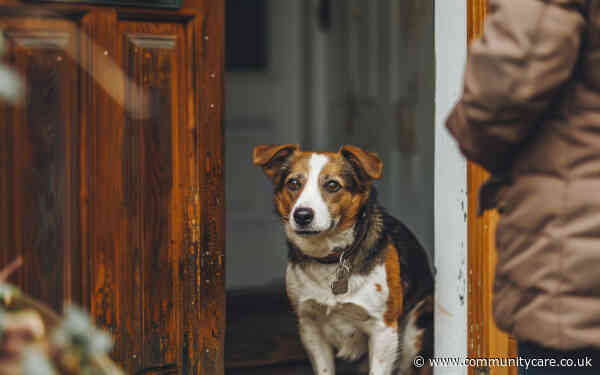 Social workers’ encounters with dogs: addressing the evidence gap