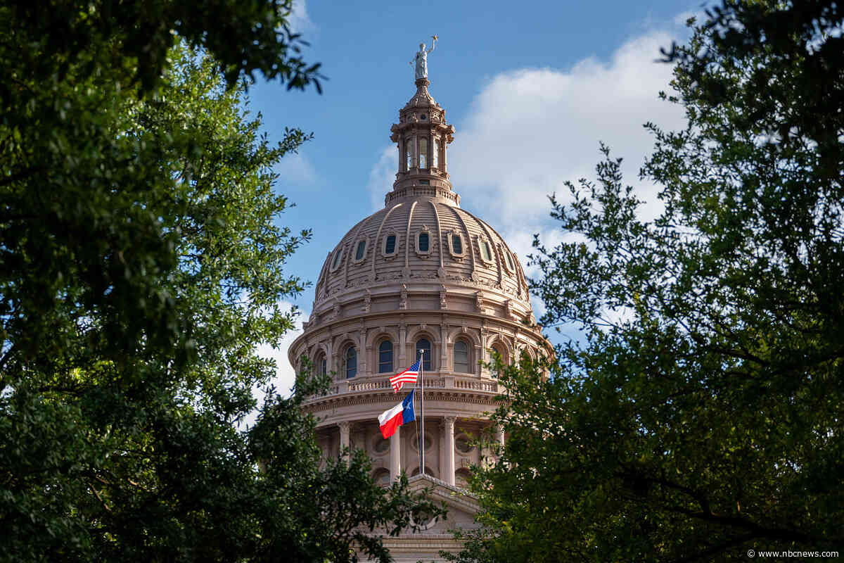 Democratic group targets Texas state House races, seeking to take advantage of GOP feuds