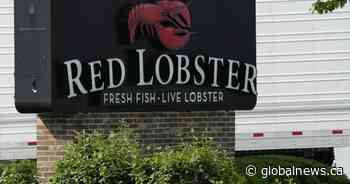 Red Lobster in Ontario court to discuss U.S. bankruptcy case, Canadian assets: docs