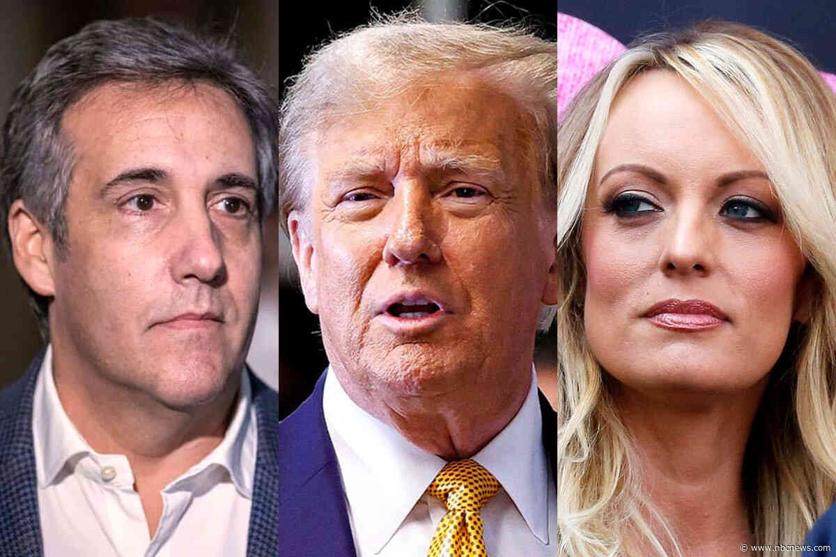 After 20 days in court for Trump's hush money trial, here's what you missed