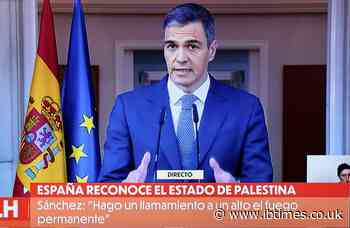 Spain, Norway Recognise Palestinian State, Ireland Next