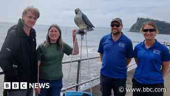 RoboBird installed to protect bathing water