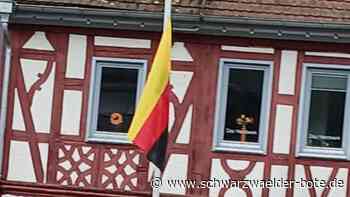 Zeichen von „Reichsbürgern“: AfD hisste Deutschland-Flagge in Calw kopfüber – Versehen oder Botschaft?
